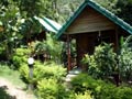 Coconut Beach Bungalows